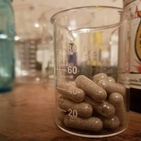 GOLDEN-TEACHER-MUSHROOM-CAPSULES.jpg